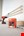 Spit gipsplaatpluggen met schroef in koffer - 14x31 mm - DRIVA TP12 - zelfborend  