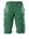 MASCOT short - Accelerate - 18149-511 - groen - maat 52