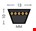 4MP V-riem - SPA1207