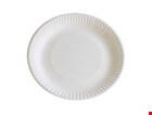 Bord wit karton coated - 18 cm - pak 100 st