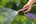 Gardena Compact tuinspuit - 18300-20