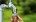 Gardena slangstuk - 13 mm (1/2") - 15 mm (5/8") - 18215-20