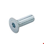 Hoenderdaal binnenzeskantbout - VZ - platkop - 2.5 - M4x16mm