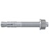 fischer doorsteekanker - FBN II 8/50 - 8x110mm - 40771
