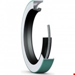 SKF cr-oliekeerring crw1 r 65 x 100 x 8 iso 2