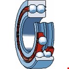 SKF Groefkogellager Tweerijig 4305 Atn9