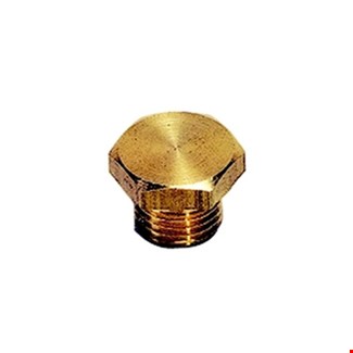 Legris - Plug met buitenzeskant - buitendraad - messing - 0200