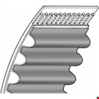 Contitech tandriem - 8M - 50 mm