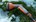 Gardena Premium reinigingssproeier - metaal - 18305-20