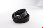 Gates tandriem - Powergrip GTX - 2600 - 8 MX - 13 inch