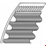 Continental Tandriem Htd Synchrobelt 1760-8M B=50 Conti