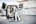 Festool Systainer³ - SYS3 M 337 - 32,4 L - 204844
