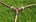 Gardena Gardena 3-wegstuk - met vorstbescherming - 934-50