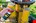 WD-40 Specialist smeerspray met PFTE - 400 ml