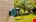 Gardena wandslangenbox - RollUp M/L - 25 m
