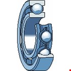 SKF Groefkogellager rms 13