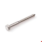 Hoenderdaal houtdraadbout [200x] - RVS-A2 - SW-10 - 6x60mm