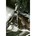 Facom 64.8X9 ringratelsleutel