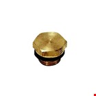 Legris - Plug met buitenzeskant - buitendraad - messing - 0220