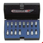 GEDORE dopsleutel schroevendraaierset - INS20PM - 1/4 inch - in kunststof cassette - 15-delig