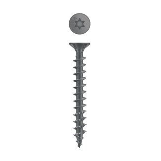 Dynaplus constructieschroef [100x] - AR-COATING - platkop - TX-30 - 6.0x50mm