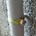 Spit hoekankerplug - Hit M 8 x 10/42 P20 - 055378