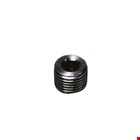 Legris - plug met binnenzeskant - 1/4" - BSPT - 0206 13 00