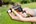 Gardena Premium reinigingssproeier - metaal - 18305-20