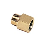 Legris - adapter - 1/8" - NPT/BSPP - 0164 11 10