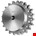 Kettingwiel - Duplex - Voorgeboord - 1" - 19T HT
