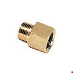 Legris - adapter - 1/4" - BSPT/NPT - 0167 13 14