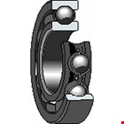Groefkogellager 6305