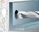 fischer veiligheidsanker - FH II 10/10 S - 503133