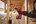 Milwaukee M18 BLPDRC-422C Accu Slagboormachine 18V - Inclusief 2x Accu en Multilader in Koffer  