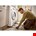 Stanley FMHT83552-1 FATMAX® TradeLift™ - 2 stuks - 150 kg