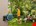 Gardena wandslangenbox - RollUp XL - 35 m