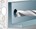 fischer express anker - EXA 12/85 (12x186 mm) - 97746