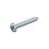 Hoenderdaal plaatschroef [200x] - VZ - cillinder kop - PH-2 - 4.8x38mm