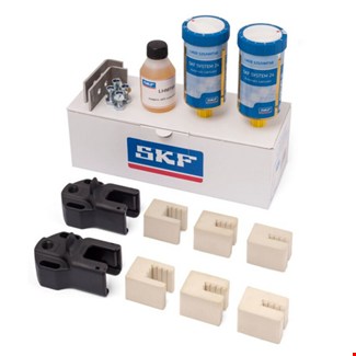 SKF Borstel 160x20mm - Lapb 16/2K