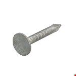 Proftec asfaltnagel [1kg] - VZ - platkop - 3.0x15mm