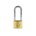 Burg cilinder hangslot 40mm 116 hb 60 E -