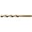Phantom 115000600 spiraalboor 6.0 mm