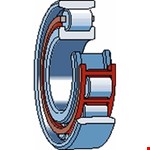 SKF Cilinderlager BC1B 320811
