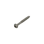 Dynaplus gevelbekledingschroef [200x] - AR-BRONZE - cilinderkop - TX-10 - 3x30/20mm