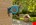 Gardena wandslangenbox - RollUp M/L - 25 m